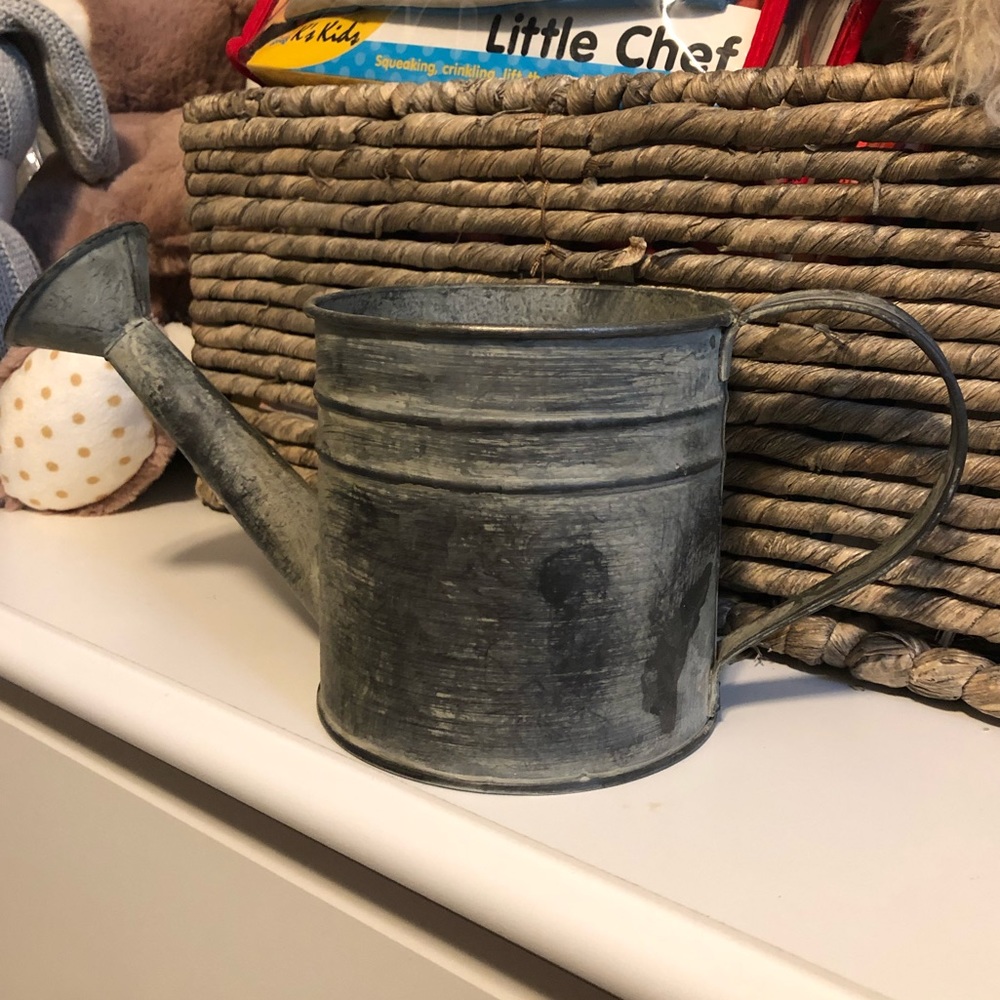 Metal Watering Can Decoration